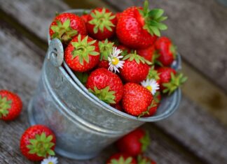 Co znaczy bucket hat? Co znaczy bucket hat?