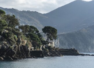 Ile kosztuje Dres Nike?