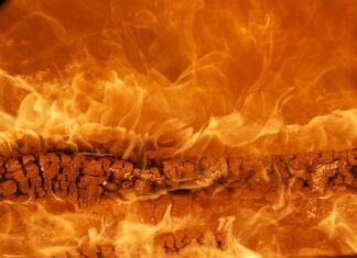 Jaka jest najpopularniejsza marka butów?