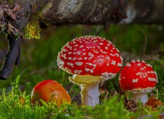 Czy jestem toksyczna matka?