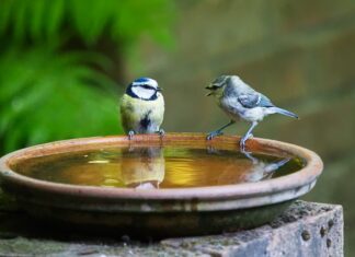 Co się mówi przy błogosławieństwie?