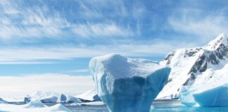 Co oznacza rozmiar czapki 58?