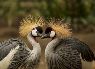 Jakie nakrycie głowy dla 60 latki? Jakie nakrycie głowy dla 60 latki?