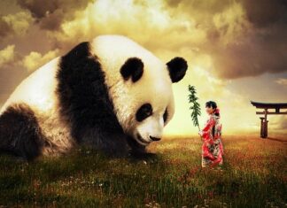 Jaki to ubiór casual? Jaki to ubiór casual?