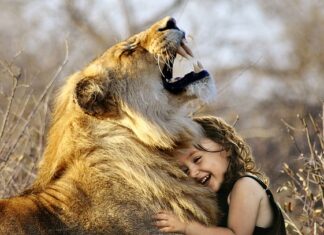 Czy Garett Kids ma gry?