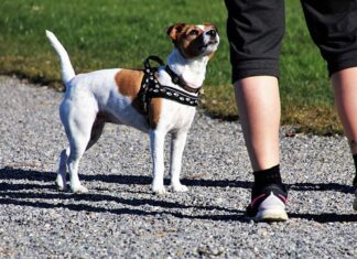 Jakie są teraz modne adidasy? Jakie są teraz modne adidasy?