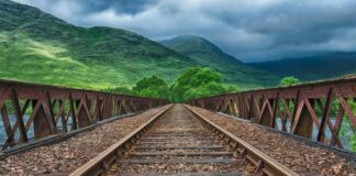 Czym się różni Straight od regular?