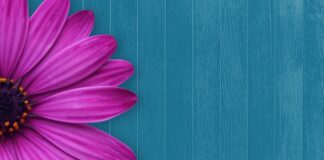 Co w podziękowaniu dla gości?