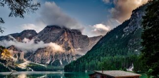Ile nalewek na wiejski stół? Ile nalewek na wiejski stół?