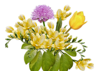 Z jakich kwiatów wiązanka ślubną? Z jakich kwiatów wiązanka ślubną?