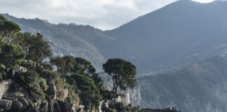 Ile kosztuje welon na wesele?