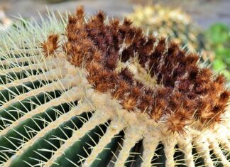 Gdzie zabrać teściową? Gdzie zabrać teściową?