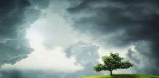 Czy zielony i niebieski do siebie pasują?